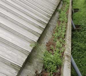 Happy customers in Redbourn who trust The Roof Moss Cleaners for gutter cleaning services